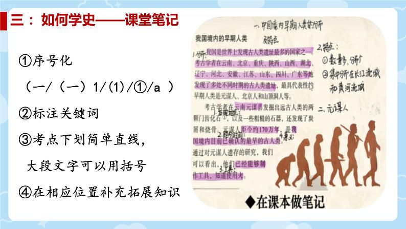 初中 历史 人教版(2024) 七年级上册第1课 远古时期的人类活动 课件第8页