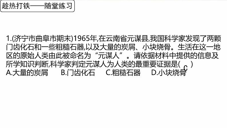 初中 历史 人教版(2024) 七年级上册第1课 远古时期的人类活动 课件第8页