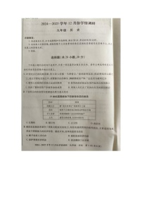 河南洛宁县2024-2025学年九年级上学期12月份学情调研历史试卷
