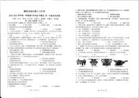 河南省濮阳市油田第十八中学2024-2025学年部编版七年级历史上学期期中考试题