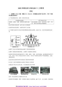 2024～2025学年湖北G20名校联考(月考)12月阶段性考试九年级(上)历史试卷(含答案)