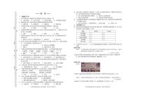 吉林省松原市宁江区2024-2025学年七年级上学期期末历史试题