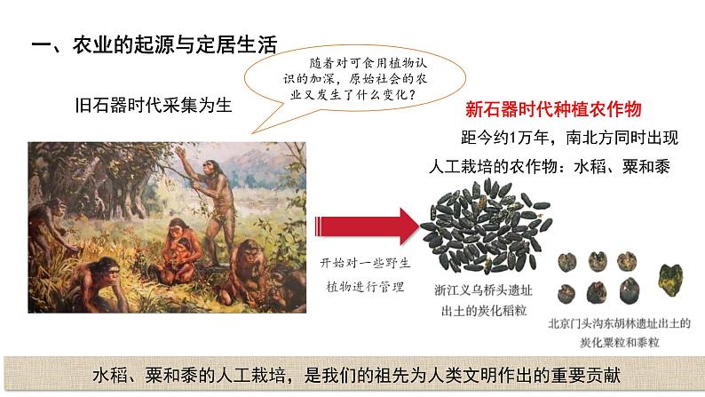 七年级上册历史人教版(2024)2 原始农业与史前社会 课件第4页