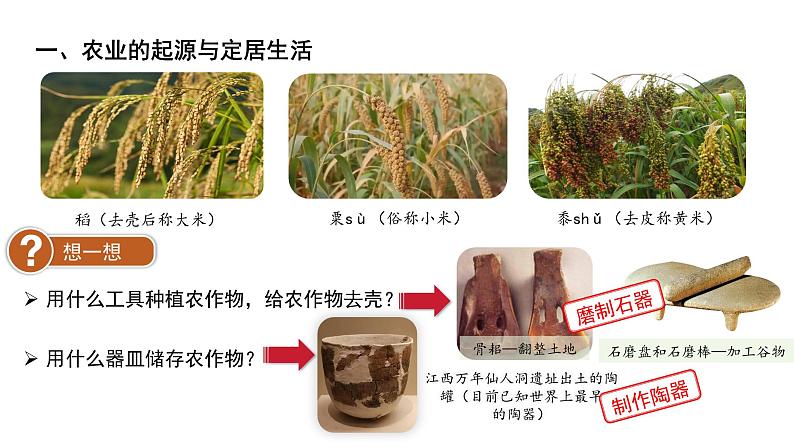 七年级上册历史人教版(2024)2 原始农业与史前社会 课件第5页