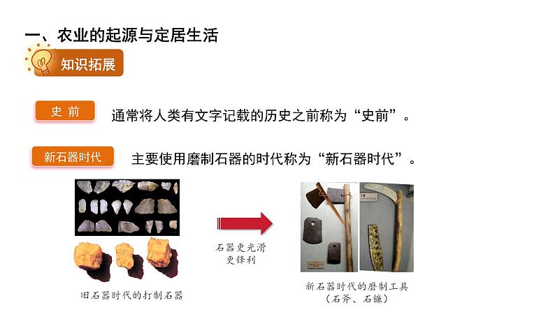 七年级上册历史人教版(2024)2 原始农业与史前社会 课件第6页