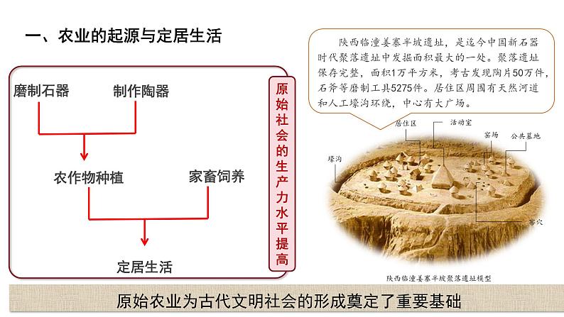 七年级上册历史人教版(2024)2 原始农业与史前社会 课件第8页