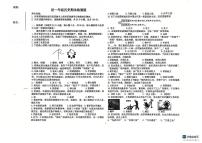 黑龙江省绥化市第八中学2024-2025学年部编版七年级上学期期末检测历史试卷