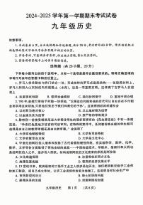 河南省濮阳市2024-2025学年九年级上学期期末历史试卷及答案