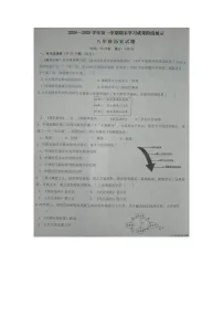 山东省德州市夏津县2024-2025学年八年级上学期期末历史试题
