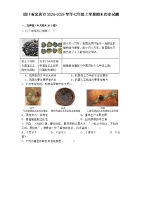 四川省宜宾市2024-2025学年七年级上学期期末历史试题（解析版）