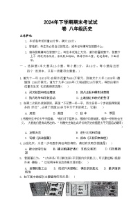 湖南省邵阳市武冈市2024-2025学年八年级上学期1月期末历史试题（含答案）