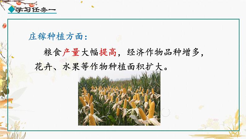 第19课 清朝前期社会经济的发展第6页