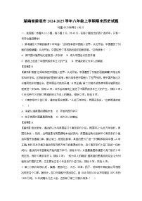 2024~2025学年湖南省娄底市八年级上学期期末历史试卷（解析版）