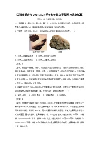 2024-2025学年江西省新余市七年级上学期期末历史试卷（解析版）