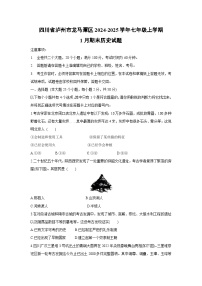 四川省泸州市龙马潭区2024-2025学年七年级上学期1月期末历史试卷