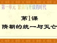 人教部編版初中七年級(jí)下冊歷史-第1課 隋朝的統(tǒng)一與滅亡【課件9】