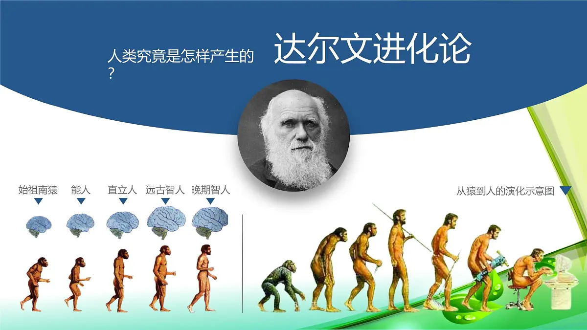 新统编版历史七上 1-1《远古时期的人类活动》课 件课件PPT第5页