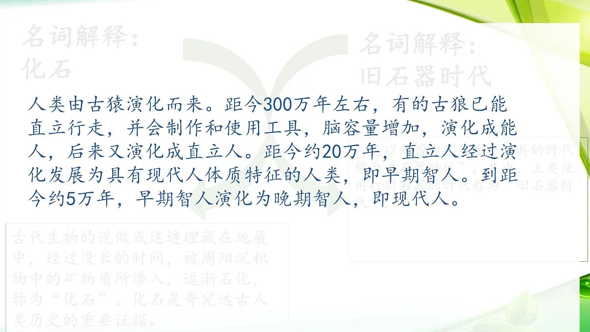 新统编版历史七上 1-1《远古时期的人类活动》课 件课件PPT第6页