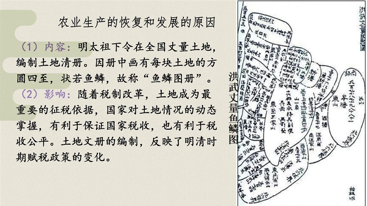 初中 历史 人教版(2024) 七年级下册(2024)第20课明清时期社会经济的发展 课件第4页