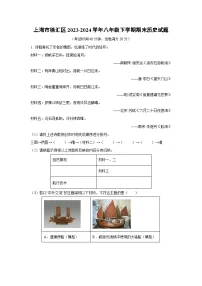 上海市徐汇区2023-2024学年八年级下学期期末历史试卷（解析版）