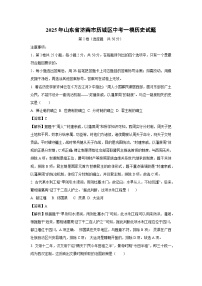 2025年山东省济南市历城区中考一模历史试题(解析版)