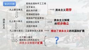 初中历史人教版（2024）九年级下册殖民地人民的反抗斗争教课ppt课件