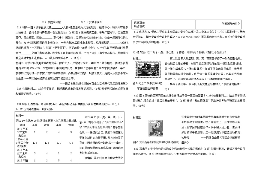 2025年陕西省安康市岚皋县中考一模历史试卷(中考模拟)第3页