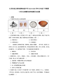 江苏省连云港市新海初级中学2024—2025学年度九年级下学期第一次学业质量阶段性检测历史试题（含答案）