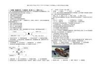 辽宁省盘锦市兴育才学校2024—2025学年部编版九年级下学期第二次模拟考试 历史试卷（pdf版）
