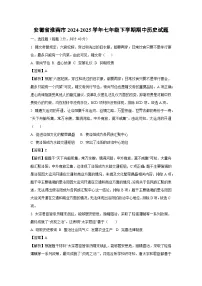 安徽省淮南市2024-2025学年七年级下学期期中历史试题（解析版）