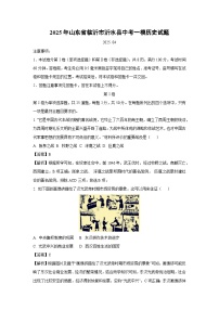 2025年山东省临沂市沂水县中考一模历史试题(解析版)