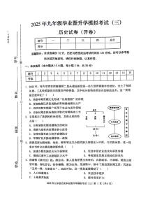 2025年安徽省芜湖市中考三模历史试题（中考模拟）