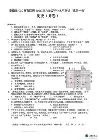 2025年安徽省C20教育联盟九年级学业水平测试最后一卷历史试题（中考模拟）