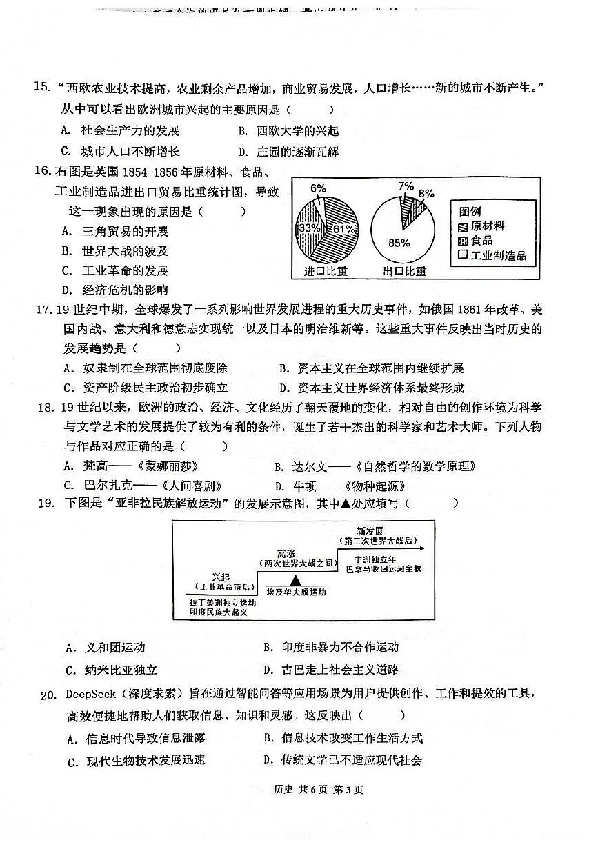 2025年海南省省直辖县级行政单位临高县中考二模历史试题(中考模拟)第3页
