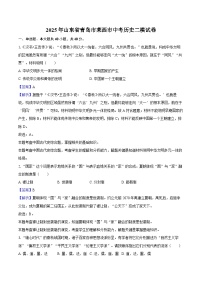 2025年山东省青岛市莱西市中考历史二模试卷（解析版）