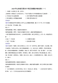 2025年山东省日照市中考历史模拟冲刺试卷（一）（解析版）