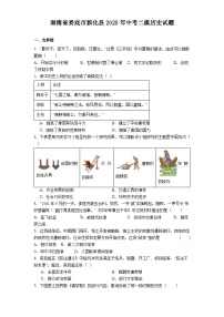 湖南省娄底市新化县2025年中考二模历史试题（解析版）