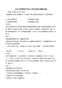 2025年河南省平顶山中考历史复习模拟试卷（解析版）
