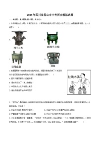 2025年四川省眉山市中考历史模拟试卷.(含答案)