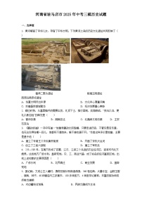 河南省驻马店市2025年中考三模历史试题(解析版)