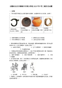安徽省安庆市桐城市市部分学校2025年中考三模历史试题（解析版）