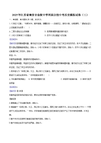 2025年江苏省南京市金陵中学河西分校中考历史模拟试卷（三）(解析版)