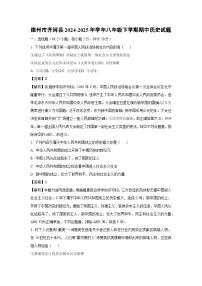 德州市齐河县2024-2025年学年八年级下学期期中历史试卷（解析版）