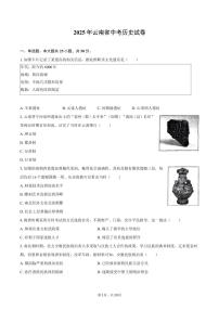 2025年云南省中考历史试卷（含解析）