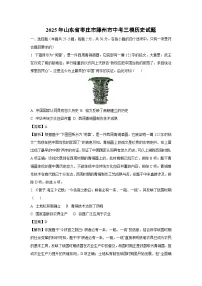2025年山东省枣庄市滕州市中考三模历史试卷（解析版）