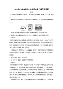 2025年山东省枣庄市市中区中考三模历史试卷（解析版）