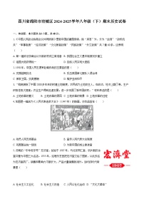 四川省绵阳市涪城区2024-2025学年八年级（下）期末历史试卷(解析版)