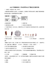 2025年湖南省初三毕业班学业水平测试历史模考卷（含答案）