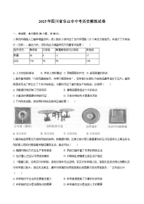2025年四川省乐山市中考历史模拟试卷