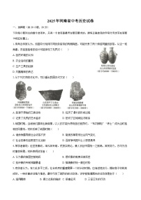 2025年河南省中考历史试卷(含答案)